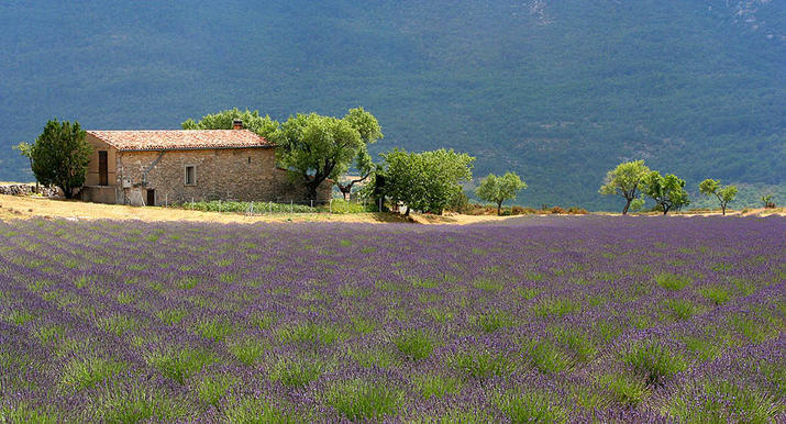 Provence in summer