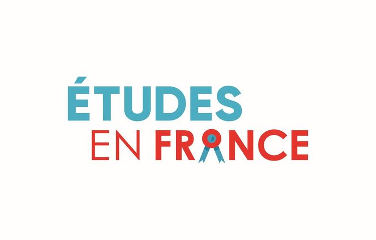 this cover letter in french